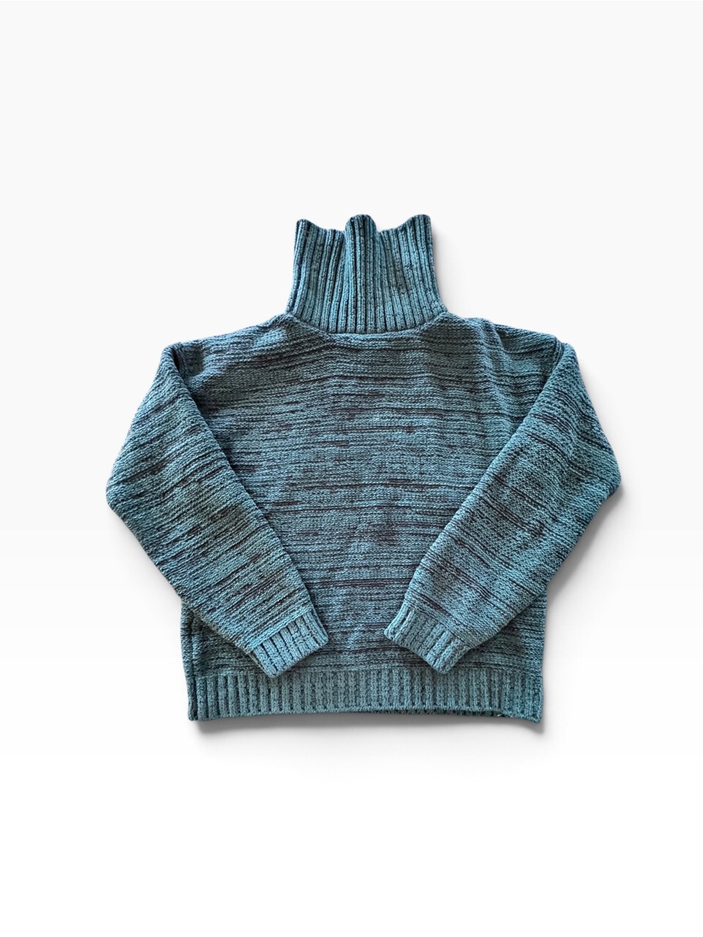 BCBG chunky knit turtleneck